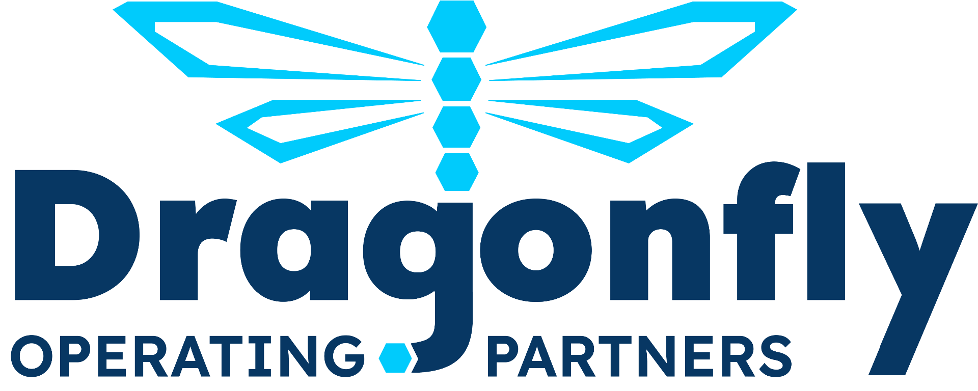Dragonfly Logo
